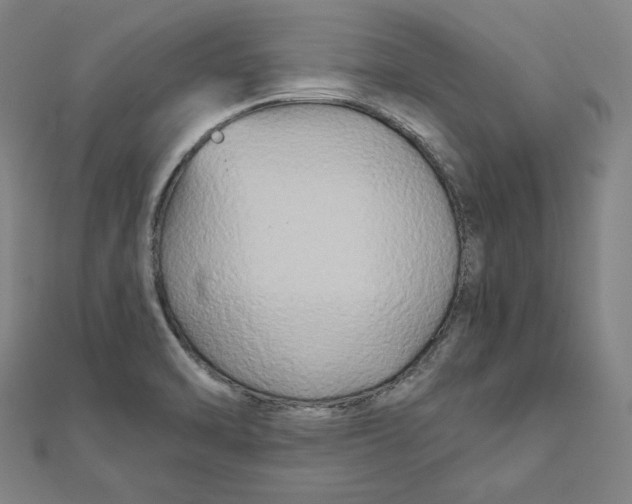 X0000111511470200908041212