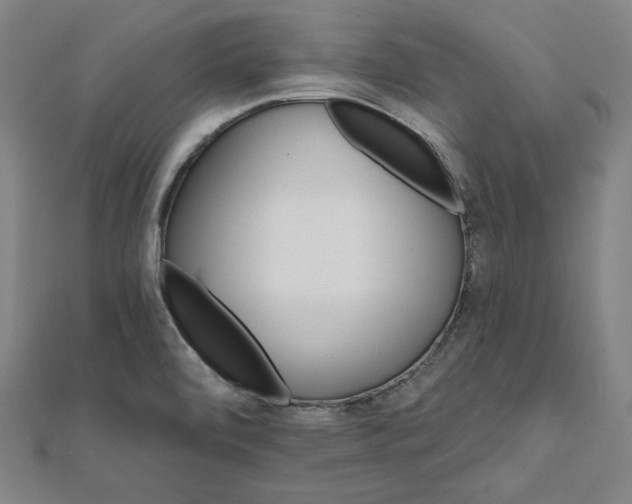 X0000111511472200908041212