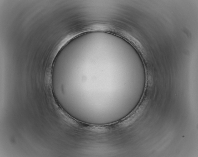 X0000111511473200908041212