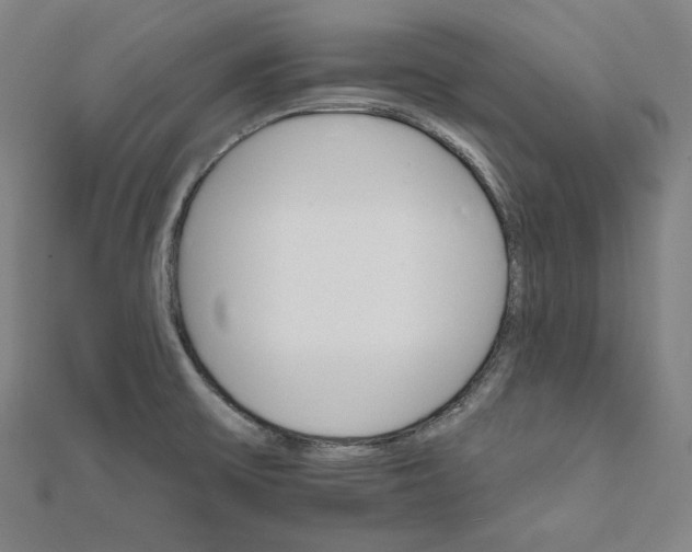 X0000111511475200908041212