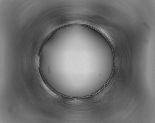 X0000111511476200908041212
