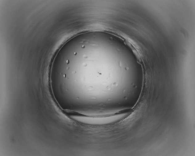 X0000111511477200908041212