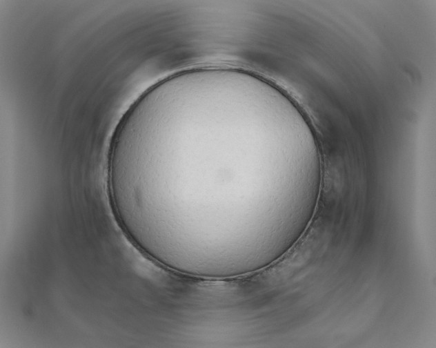 X0000111511478200908041212