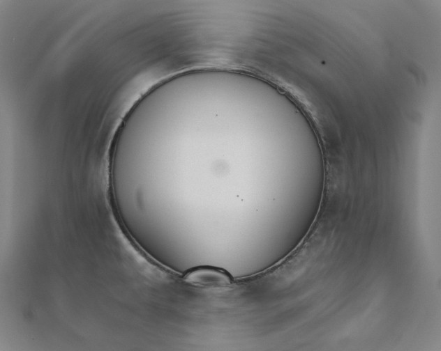 X0000111511479200908041212