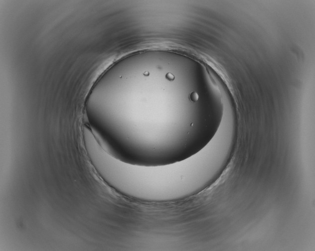 X0000111511481200908041212