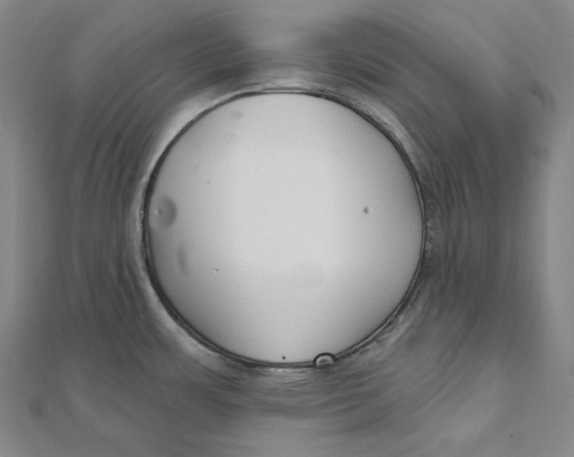 X0000111511483200908041212