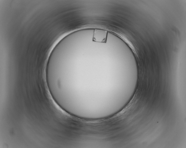 X0000111511484200908041212