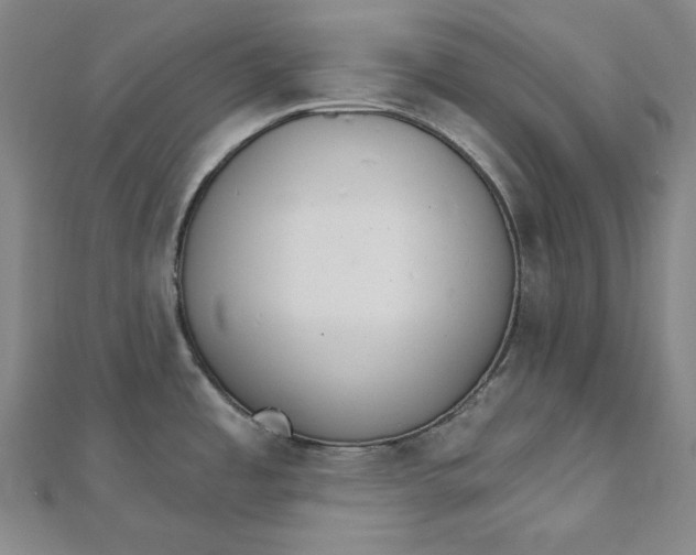 X0000111511485200908041212