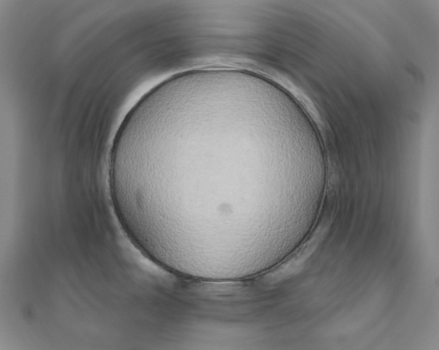 X0000111511486200908041212