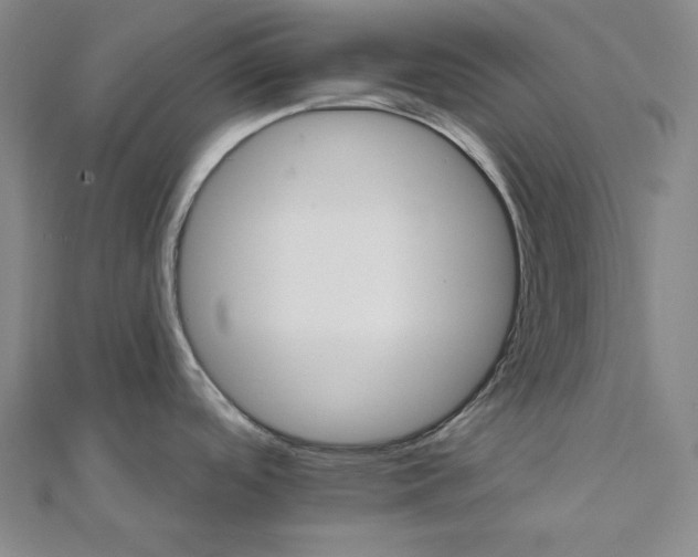 X0000111511488200908041212