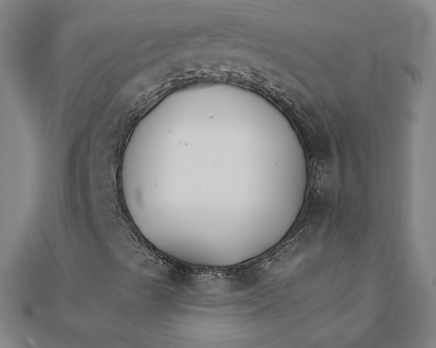 X0000111511489200908041211
