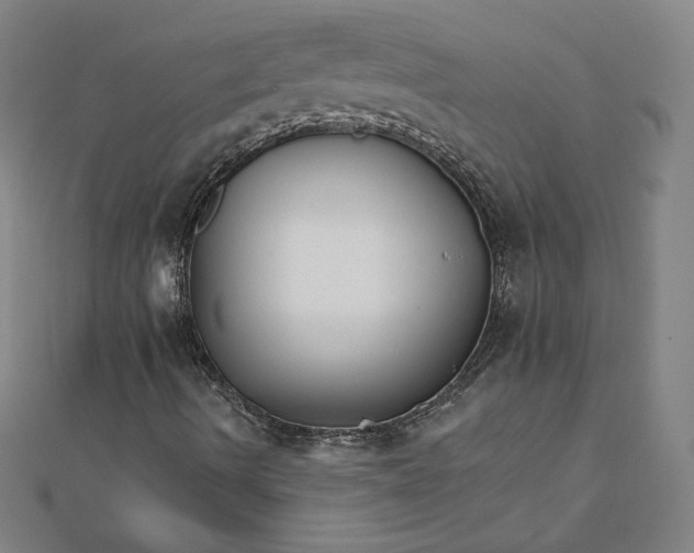 X0000111511490200908041211
