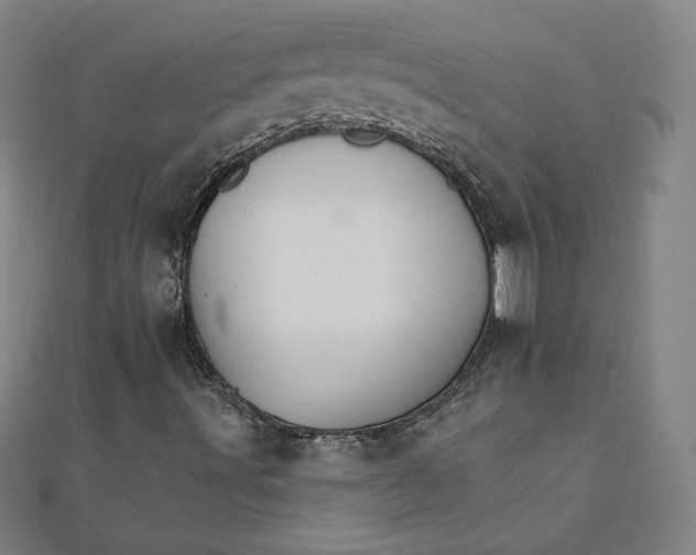 X0000111511491200908041211