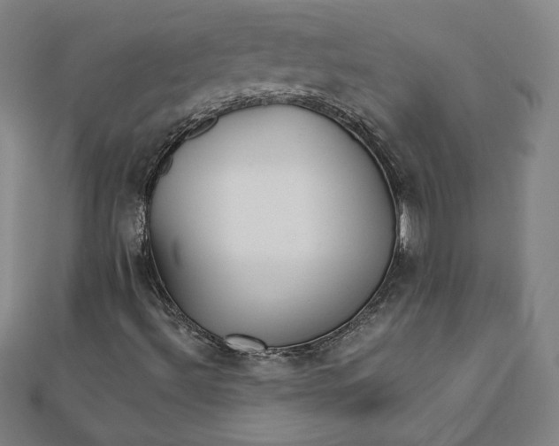 X0000111511492200908041211
