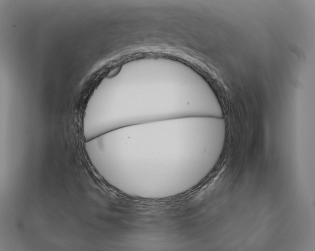 X0000111511494200908041211