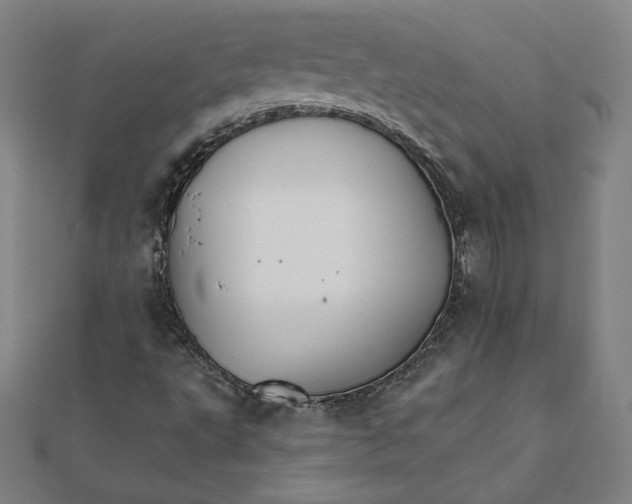 X0000111511495200908041211