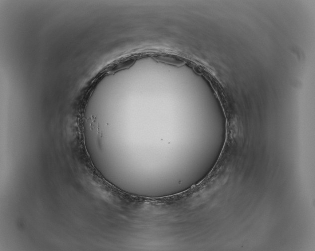 X0000111511496200908041211