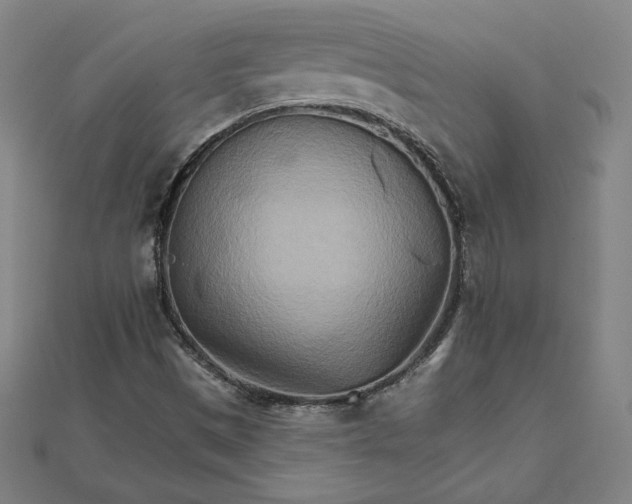 X0000111511497200908041211
