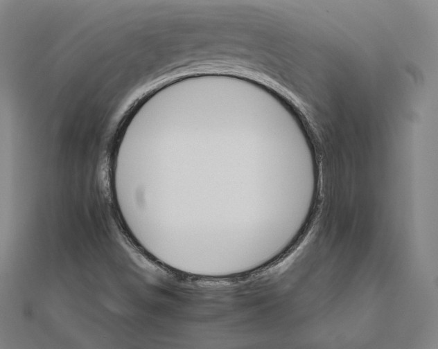 X0000111511498200908041211