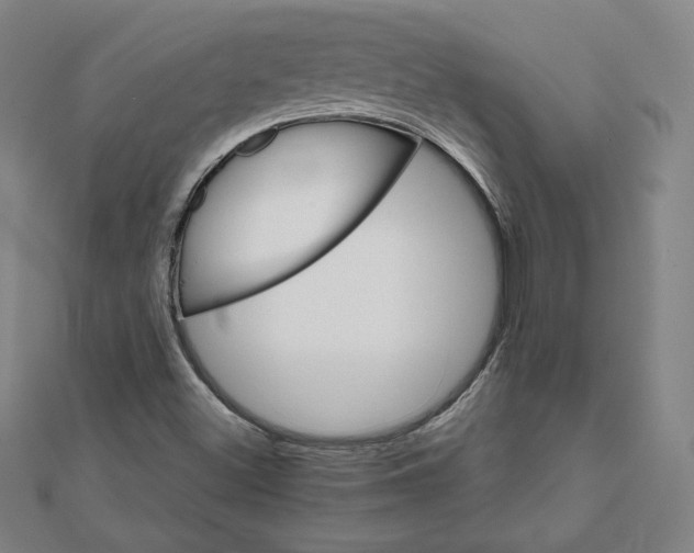 X0000111511500200908041211