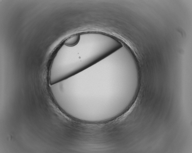 X0000111511502200908041211