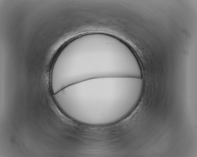 X0000111511503200908041211