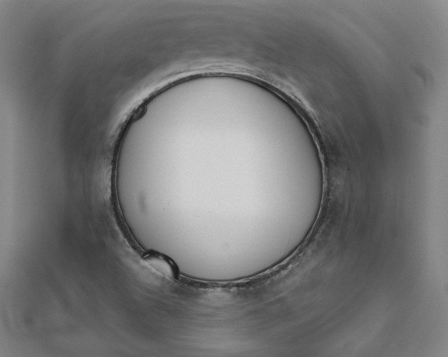 X0000111511504200908041211