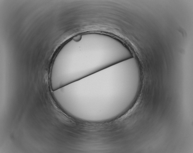 X0000111511505200908041211