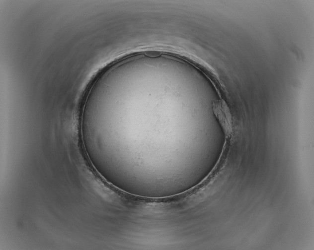 X0000111511506200908041211