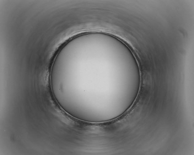 X0000111511507200908041211