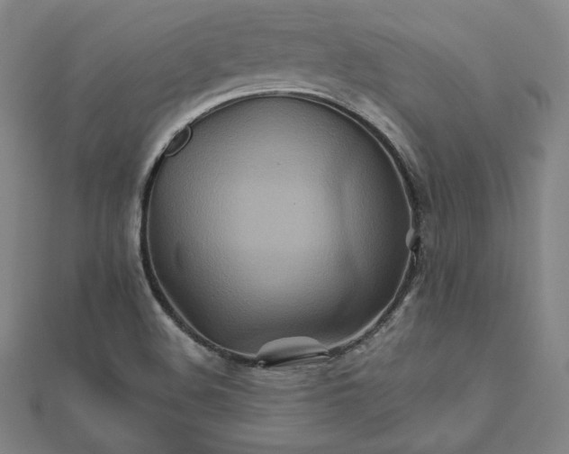 X0000111511508200908041211