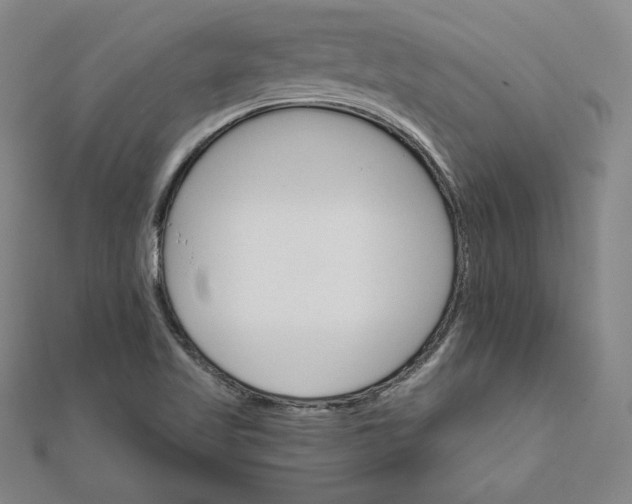 X0000111511509200908041211