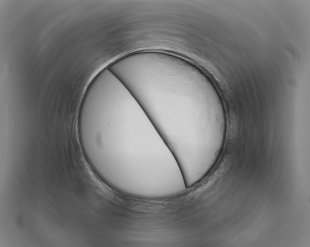 X0000111511513200908041211