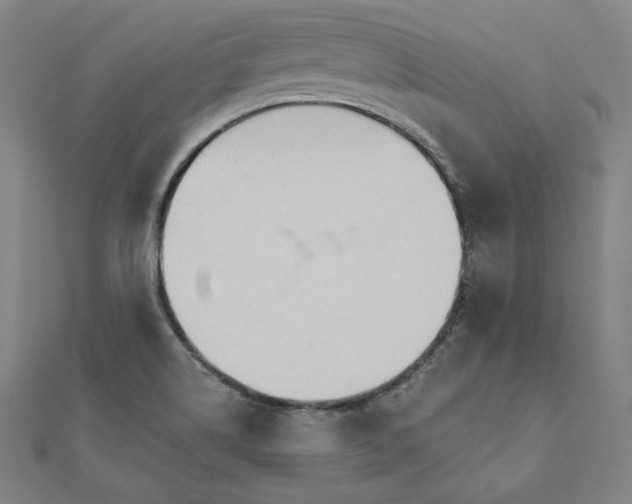 X0000111511514200908041211