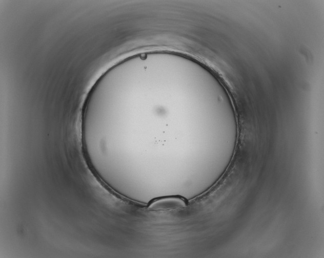 X0000111511516200908041211
