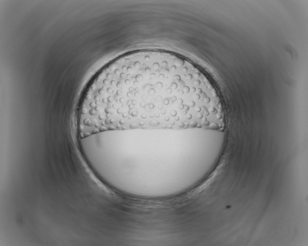 X0000111511517200908041211