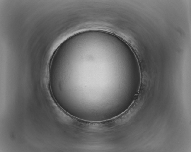X0000111511520200908041211
