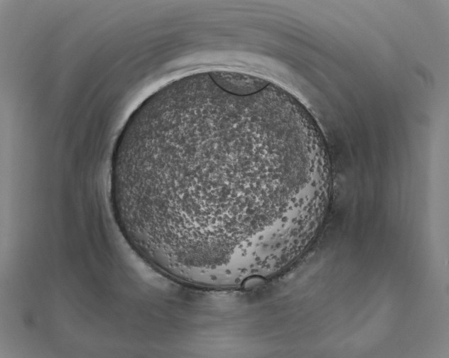 X0000111511523200908041211