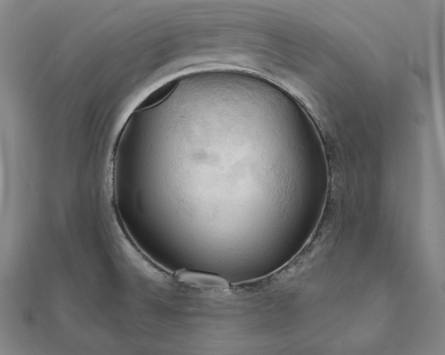 X0000111511524200908041211