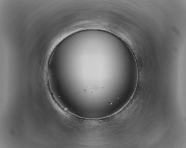 X0000111511528200908041211