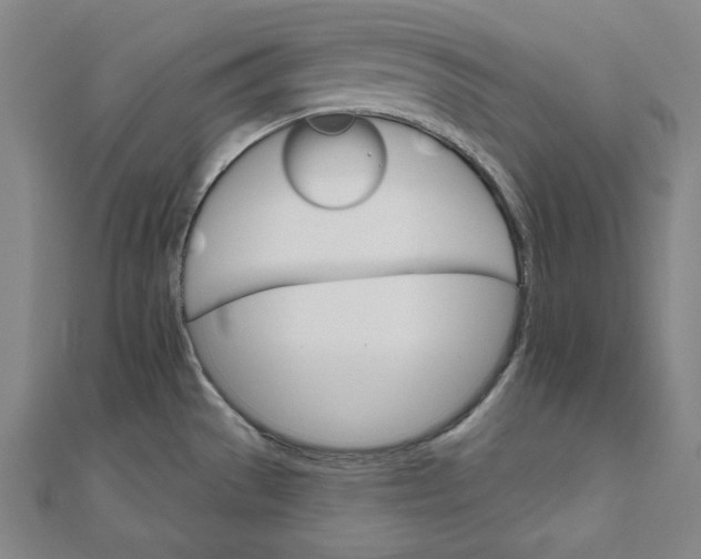 X0000111511529200908041211
