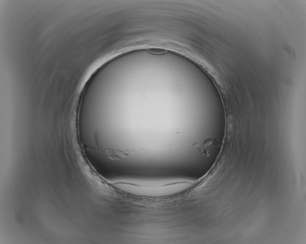 X0000111511530200908041211