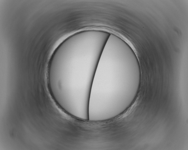 X0000111511533200908041212
