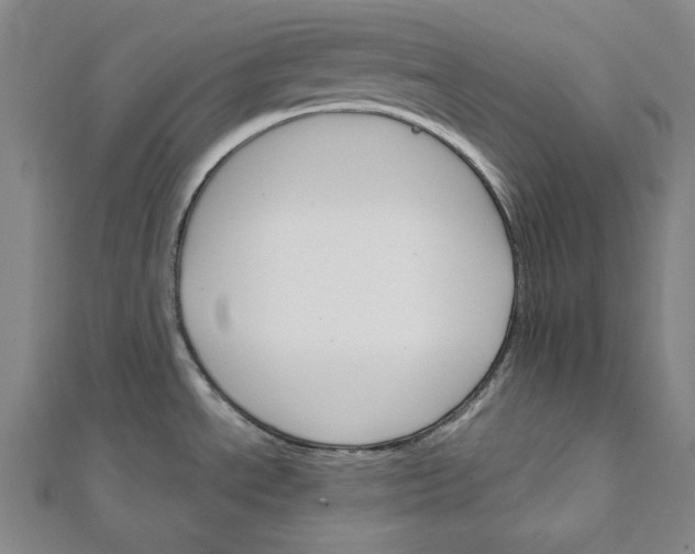 X0000111511534200908041212