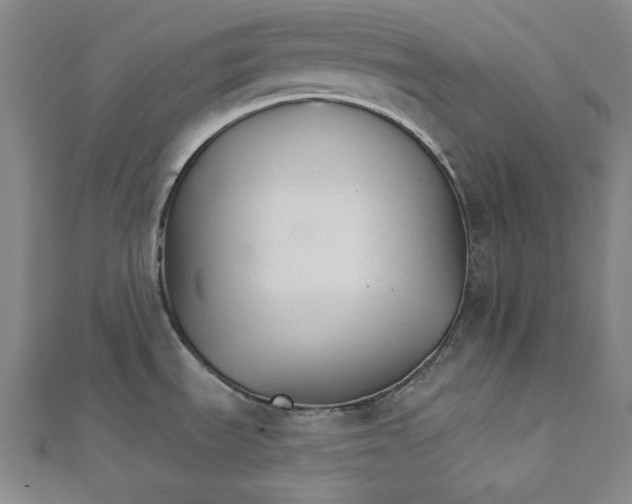 X0000111511535200908041212