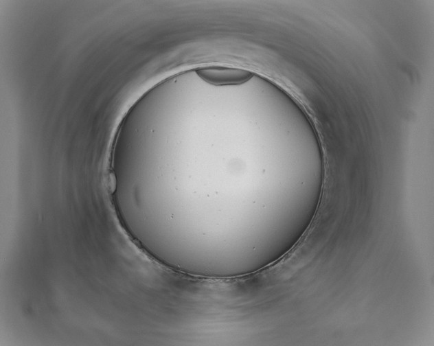 X0000111511536200908041212