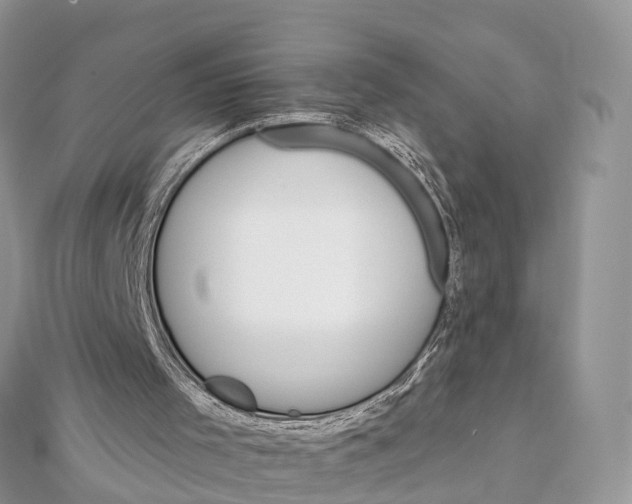 X0000111510001200908111319