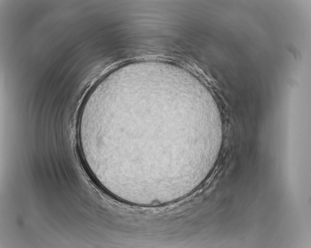 X0000111510002200908111319