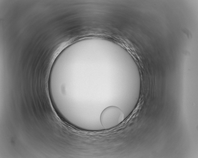 X0000111510003200908111319