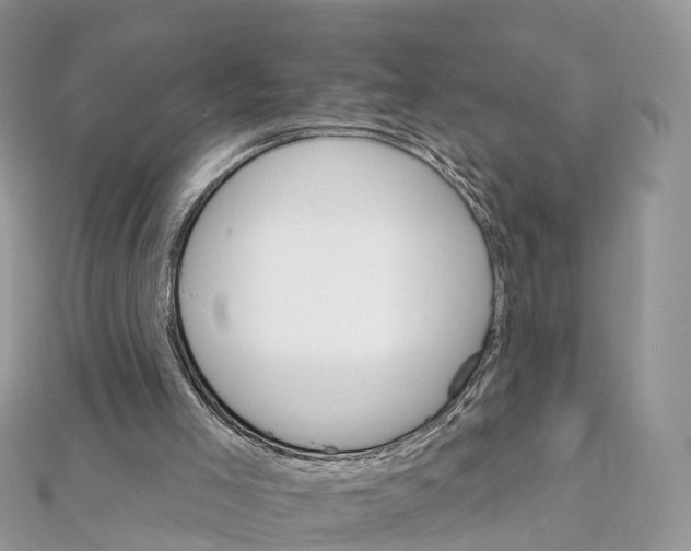 X0000111510005200908111319